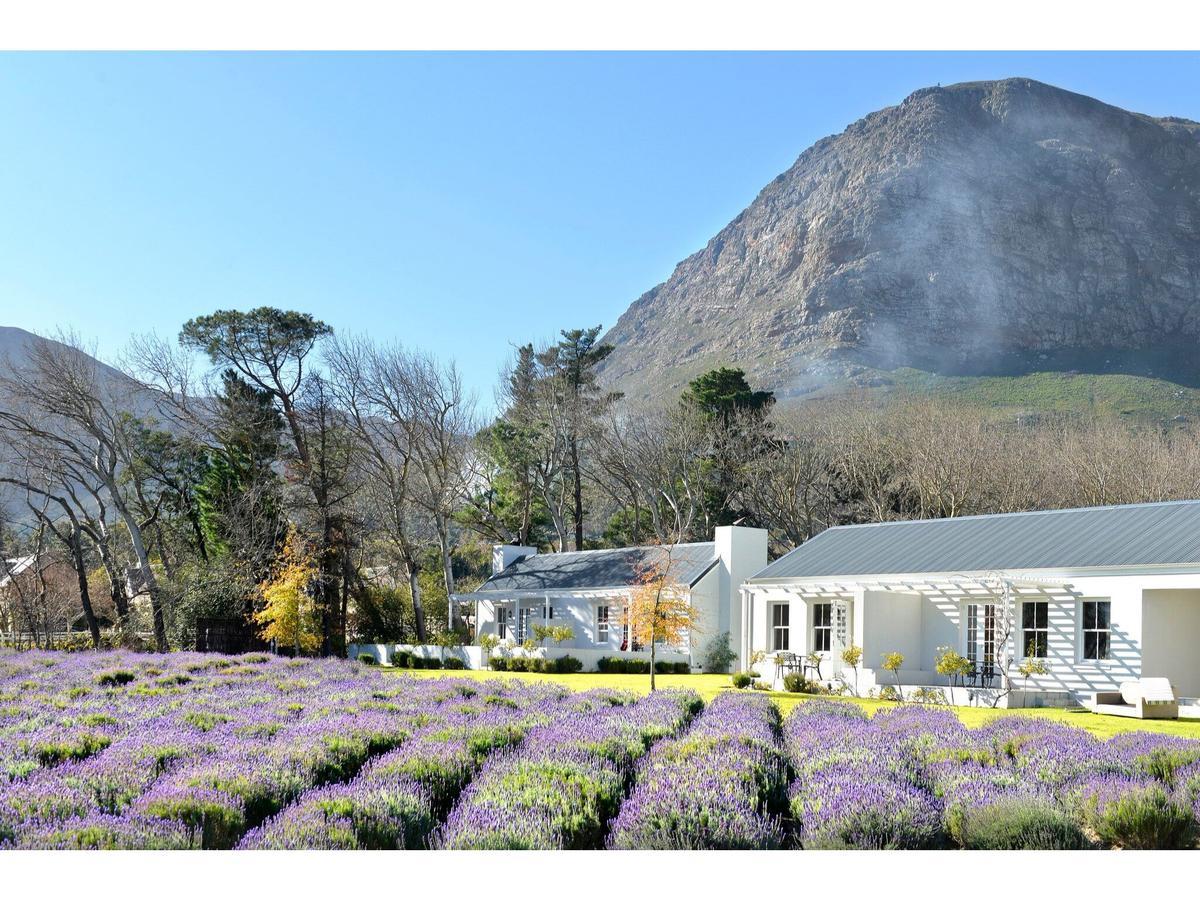 Lavender Farm Boutique Guest House Franschhoek Exterior foto