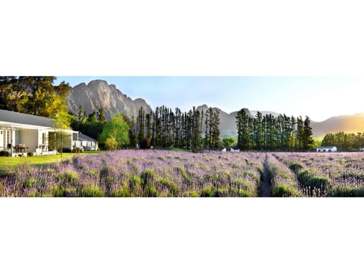 Lavender Farm Boutique Guest House Franschhoek Exterior foto