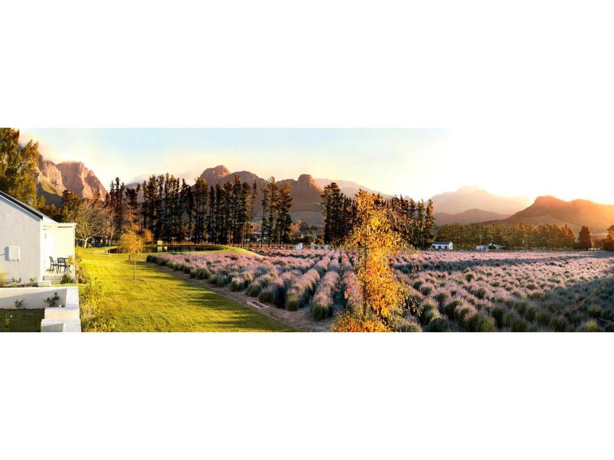 Lavender Farm Boutique Guest House Franschhoek Exterior foto