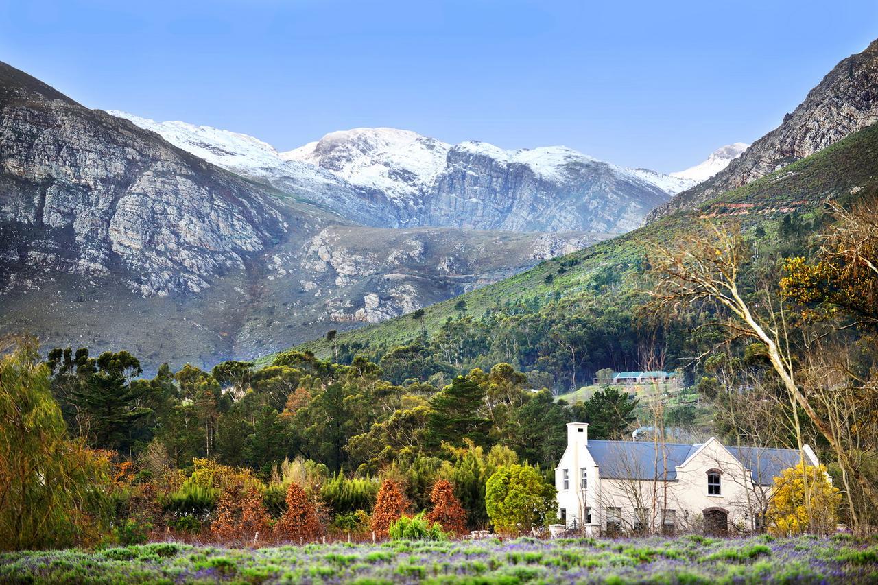 Lavender Farm Boutique Guest House Franschhoek Exterior foto