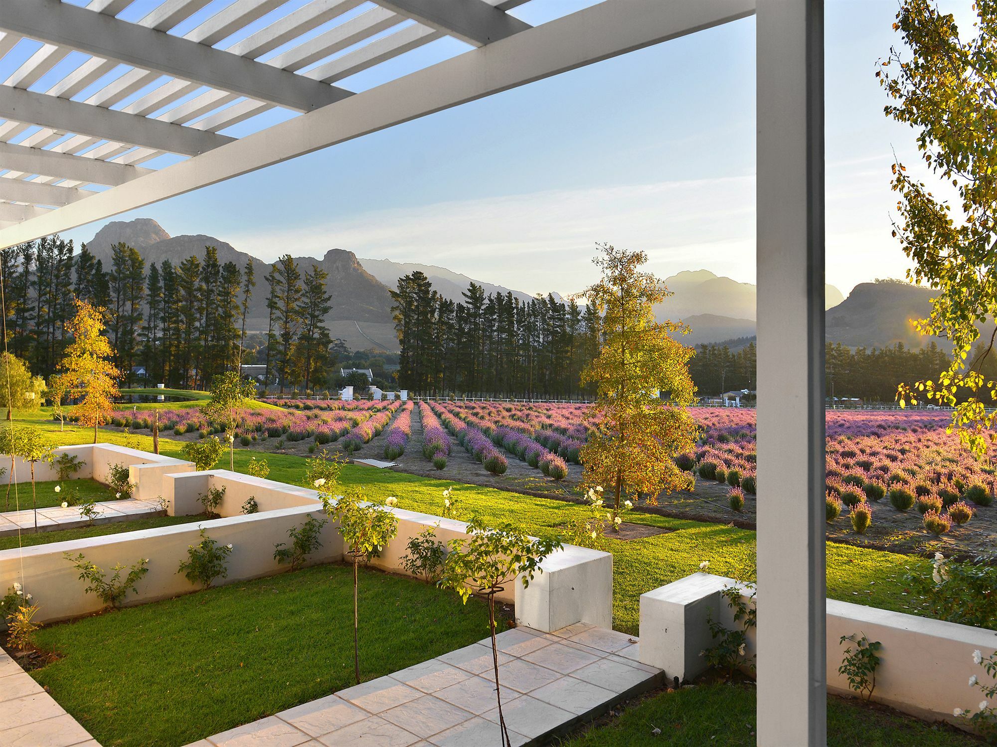 Lavender Farm Boutique Guest House Franschhoek Exterior foto